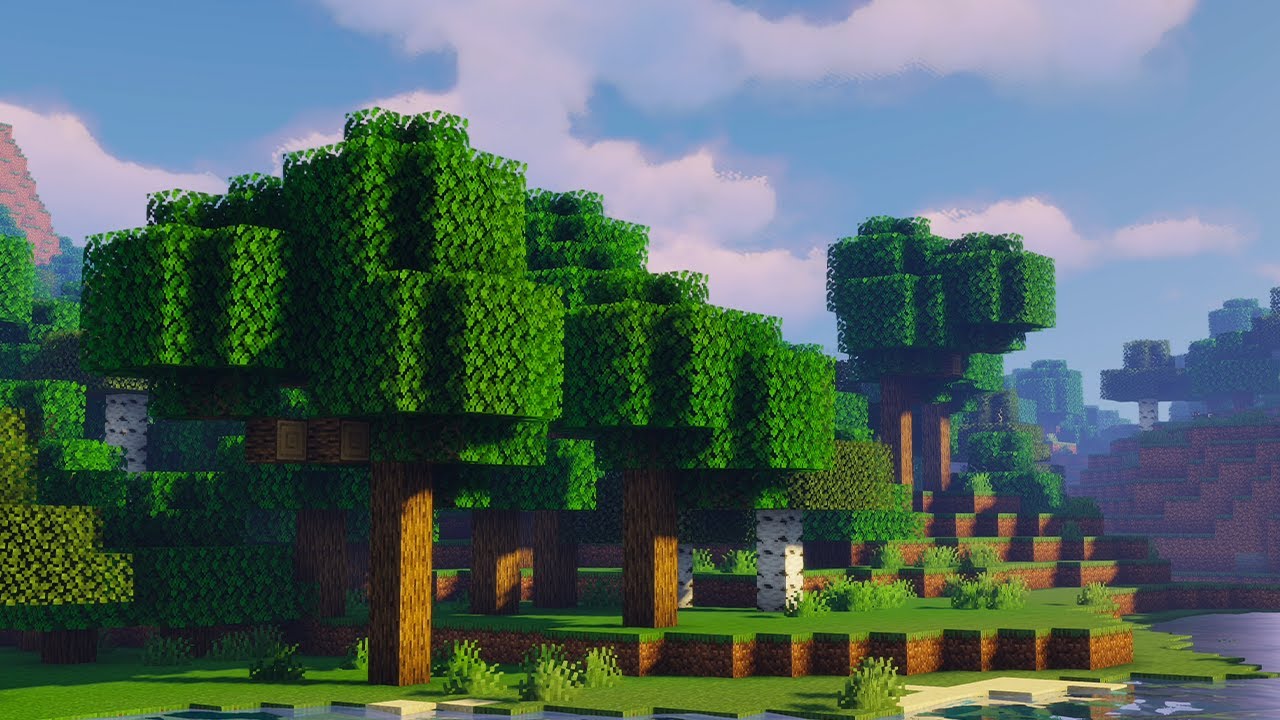 How did we end up here?...