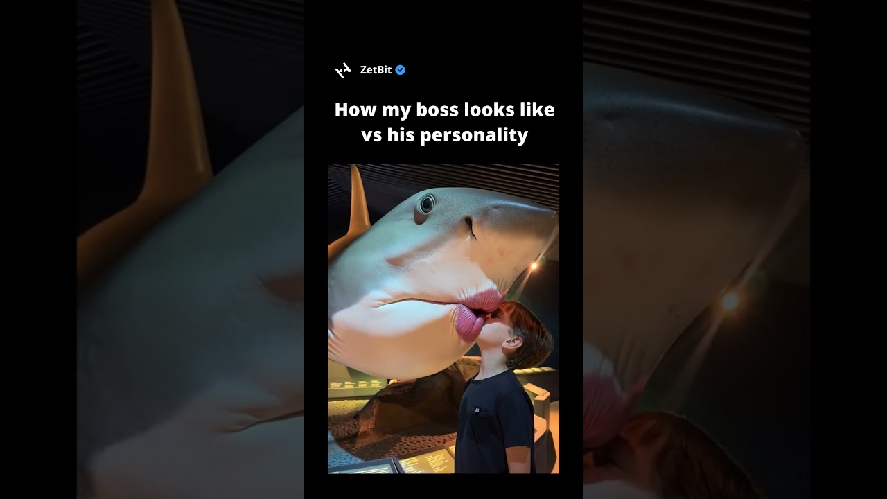 How my boss looks like vs his personality #programmer #coding #softwaredeveloper