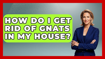 How Do I Get Rid Of Gnats In My House? - Exploring Campgrounds