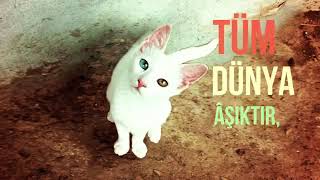 Bu Da Bizim Rap Imız Beyler Türk Asla Ölmez