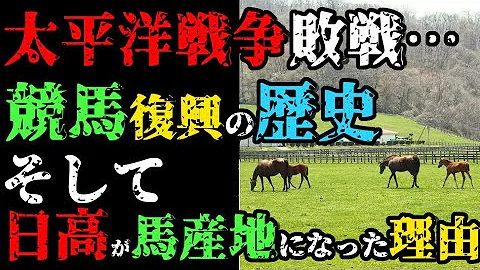 ダービーの闇 Jra所属馬が地方のダービーを荒らす ダービーの意味とは マカニビスティー バルダッサーレ事件について解説 競馬事件簿 ゆっくり解説 Mp3