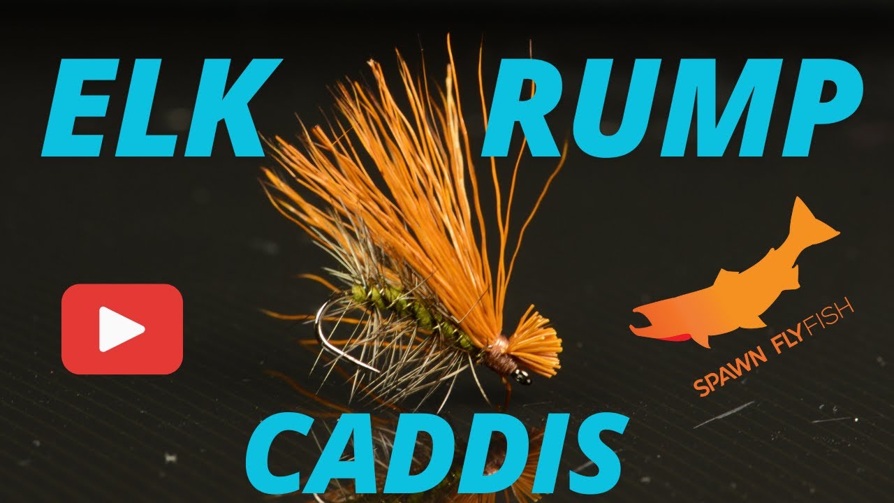 Elk Rump Caddis for Trout- Fly Tying Tutorial - YouTube