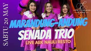 senada trio (SENADA TRIO) ANDUNG ANDUNG live record aek resto