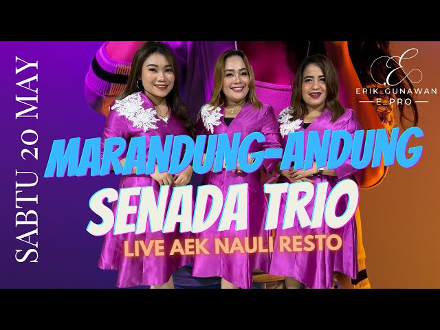 senada trio (SENADA TRIO) ANDUNG ANDUNG live record aek resto class=