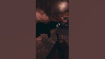 What Really Happens with TranZit Survival Maps in BO2