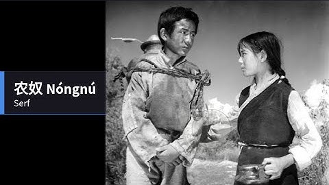 Lesson #288 奴 Slave