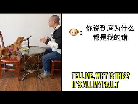 Chinese Dog Sings With Man Full Version Lyrics With English Translation