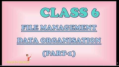 CLASS 6 - CHAPTER 2 - FILE MANAGEMENT - DATA ORGANISATION - PART1