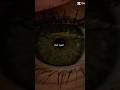 What eyes?