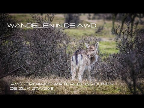 Wandelen door de