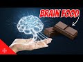 8 foods that can make you smarter
