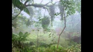 SEJUTA KABUT - Iwan Abdurahman.wmv