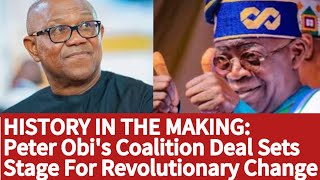 Citizens React: I Will Stabilize Nigeria As One Term President - Peter Obi