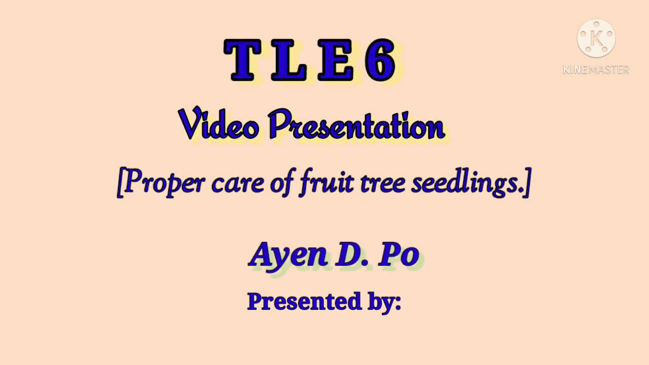 TLE 6 | Performance Task | A D P