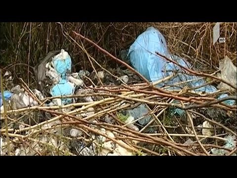 ფოთის მერიის განცხადება