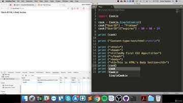 50- Easy Python Programming Cookies