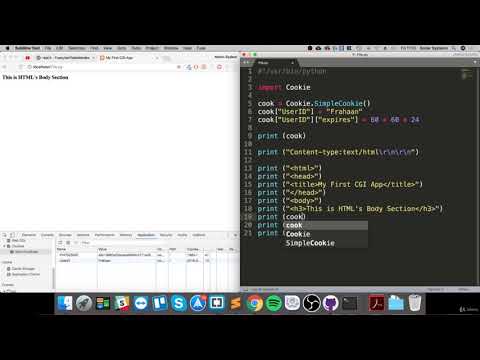50- Easy Python Programming Cookies