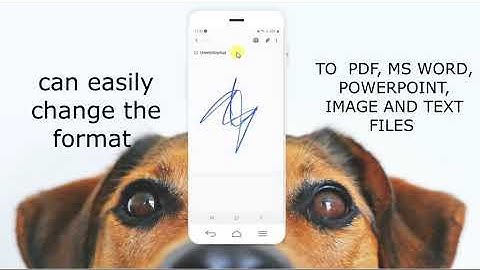 How to change Samsung notes to any format