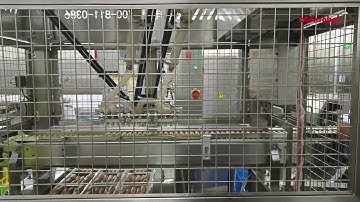 Delta robot for Sausage packing