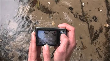 Second Commandment: Thou shalt not make unto thee any graven image