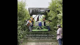 Future of Tree Fruit Harvesting