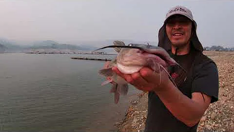 Can you eat reservoir fish?