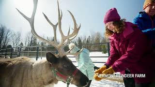 Journey Into Vermont’s Northeast Kingdom