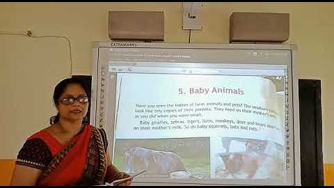 Class - 2  Science  Ch - 5  Baby Animals