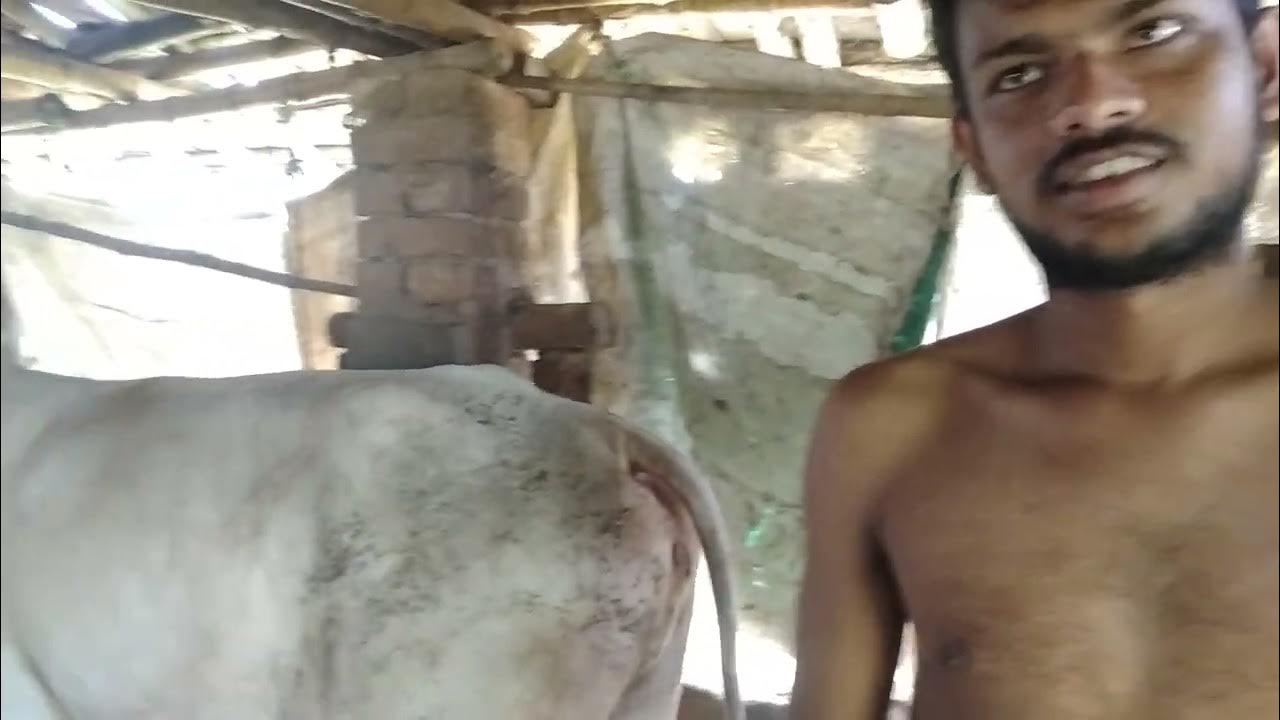 55 ( 8420432386)Suvankar Ghosh at Siberia Krishnamati. Madhyamgram to