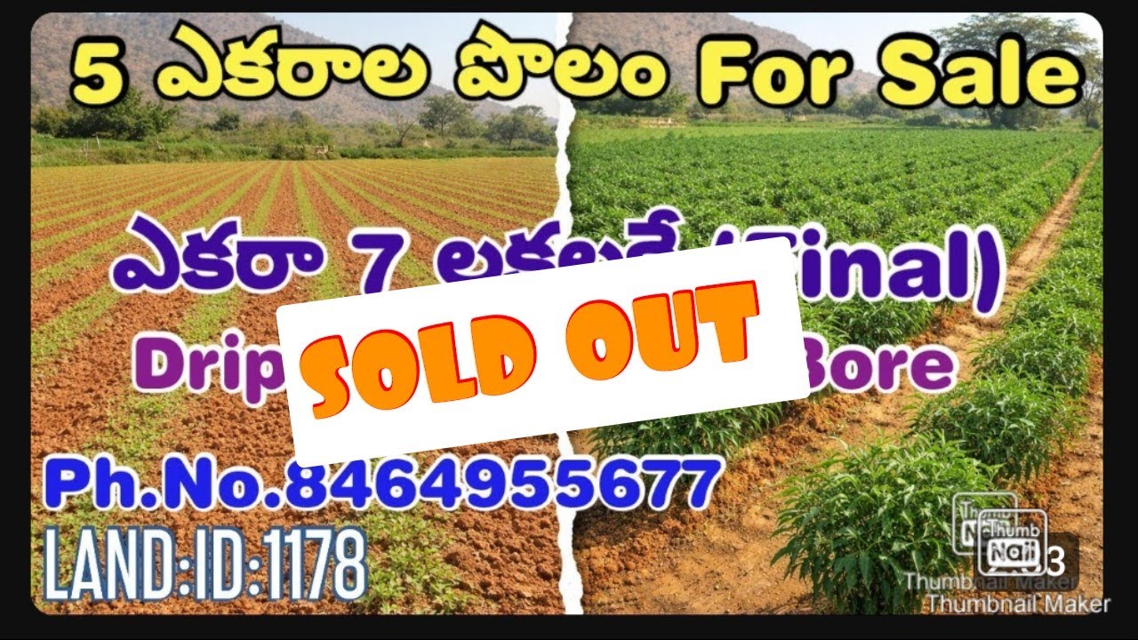 SOLD OUT 