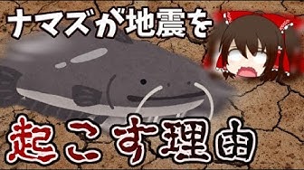 ナマズ Youtube