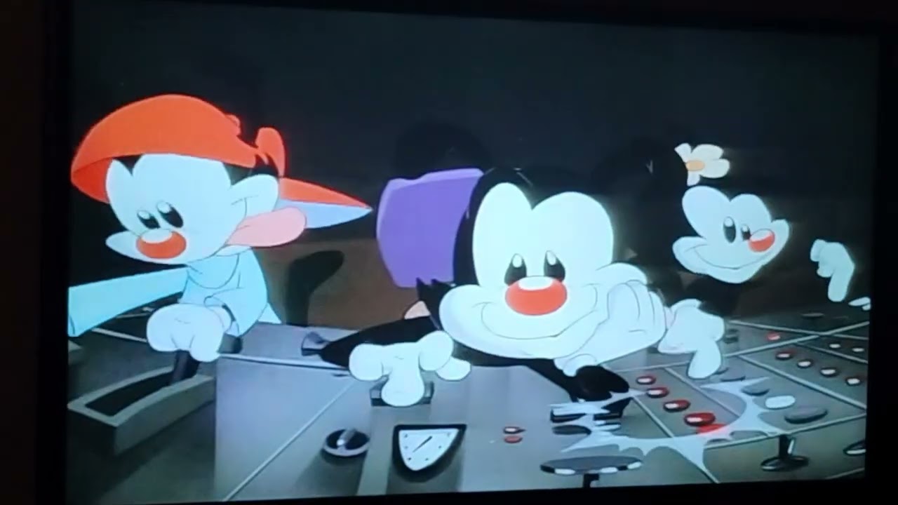 The Warners are Stretching Dan Anchorman