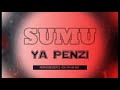Sumu Ya Penzi Bongo Flavor Instrumental