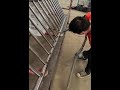 Multifunctional high power welding machine for welding iron fence