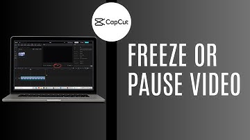 How To Freeze Or Pause A Video On Capcut
