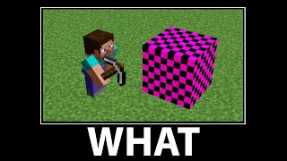 WAIT WHAT - Minecraft #18