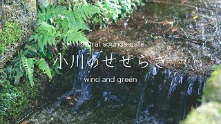 【水の音】2時間｜小川の静かなせせらぎ｜自然音｜環境音｜作業用｜睡眠用｜勉強用