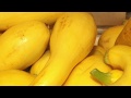 Grow yellow squash in containers