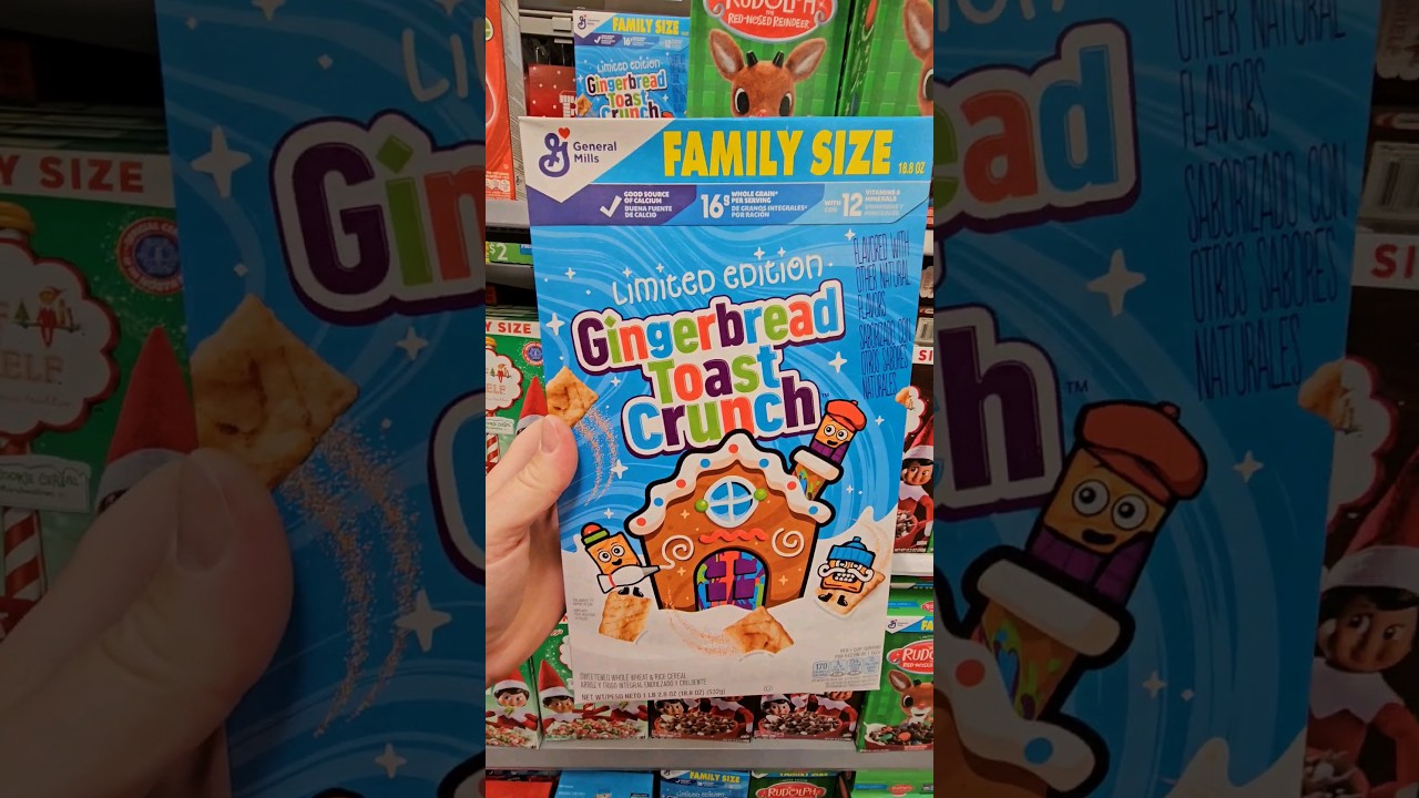 CHRISTMAS GINGERBREAD DELICIOUSNESS! 