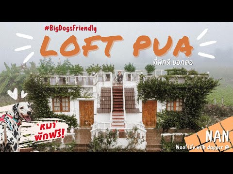 ผลสลากกินแบ่งรัฐบาล วันที่ 1 พย. 2567