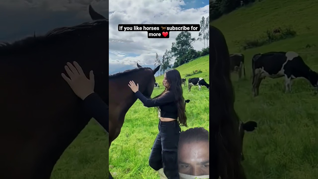 👉 Kind Horses 🐴❤️ | Heart Touching Horse Compilation Short 