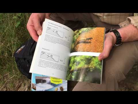 Video: Weißwedelhirsch: Beschreibung, Lebensweise, Artenschutz