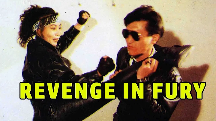 Wu Tang Collection - Revenge in Fury