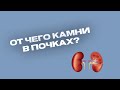ПРОДУКТЫ, СПОСОБСТВУЮЩИЕ ОБРАЗОВАНИЮ КАМНЕЙ В ПОЧКАХ 👀