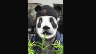 Snapchat Filter: Panda News