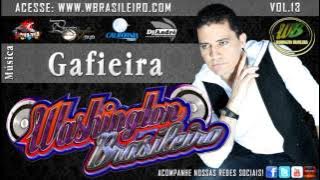 Washington Brasileiro Gafieira Vol.13 Ao vivo