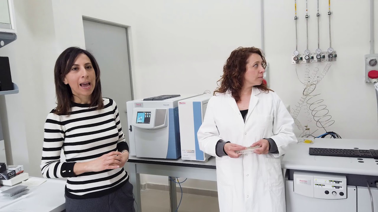 Dendrolab_Università della Campania "L. Vanvitelli" - YouTube