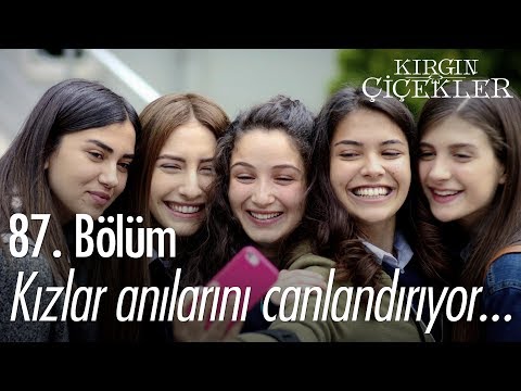 Video: Vermek için çok yıllık gösterişsiz çiçekler (fotoğraf)