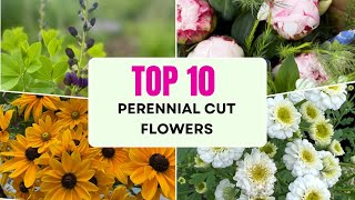 The BEST Perennial Cut Flowers to Grow (Come Back Every Year!)