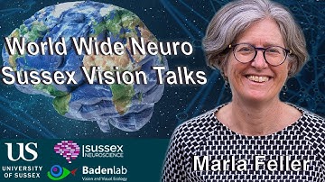 World Wide Neuro | Sussex Vision Series - 13/02/2023 - Prof. Marla Feller